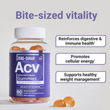 Essential Elements Gomitas de vinagre de sidra de manzana ACV sin azúcar de &#34;The Mother&#34; - Gomitas veganas ACV de origen natural con ácido fólico y vitamina B12, 60 unidades