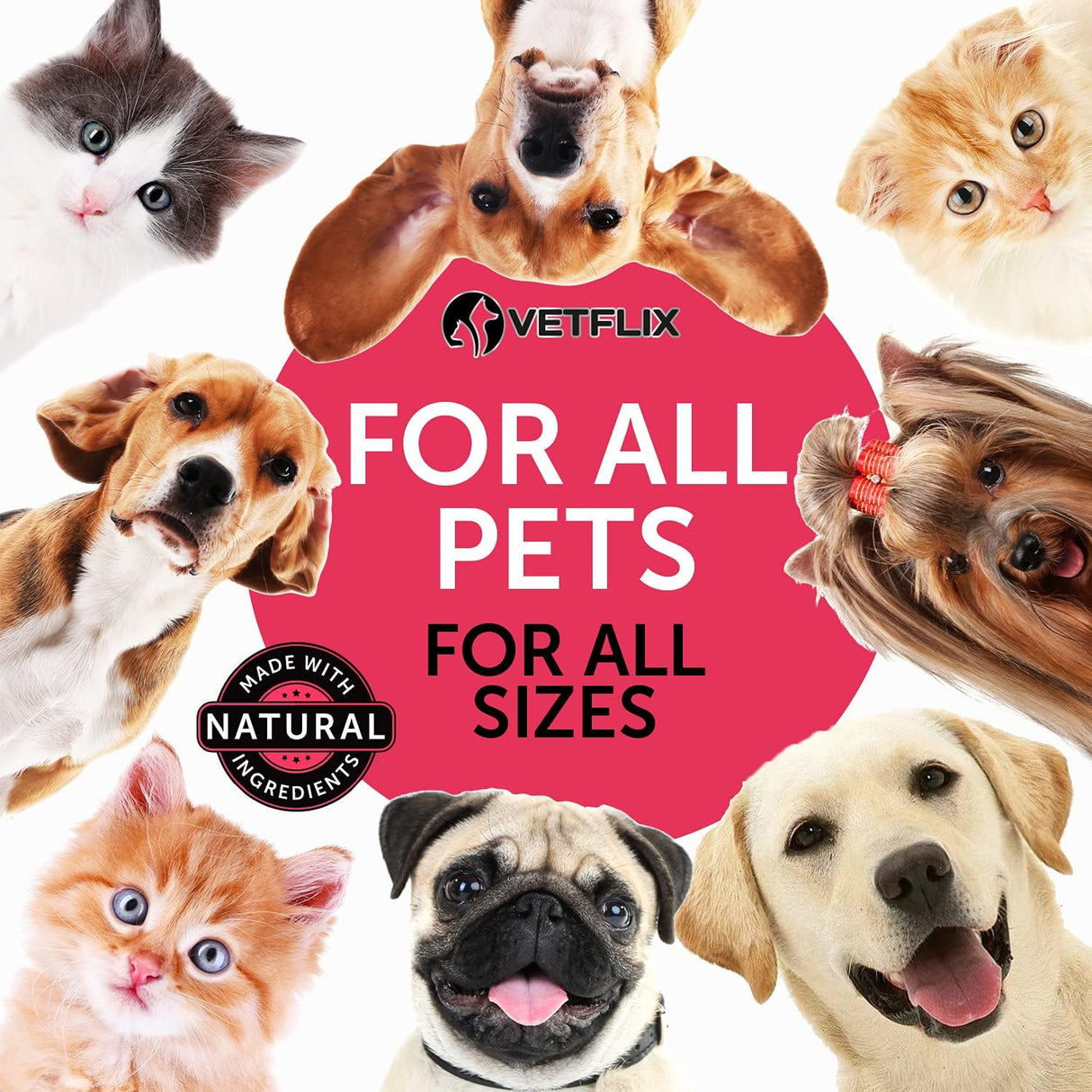 Vitaminas para mascotas 10 en 1 para las articulaciones