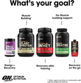 Amino Energy Pre Workout Optimum Nutrition BCAA 30 Servs