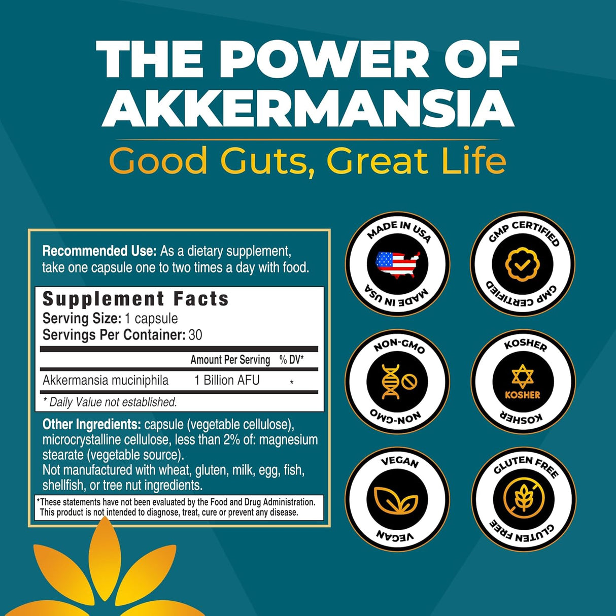 Akkermansia Probiótico, Apoyo Digestivo y Microbioma, 1B AFUs, 30 caps