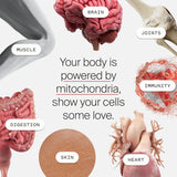 Mitopure Urolithin A Suplemento, Apoyo Salud Envejecimiento, 60 Cápsulas