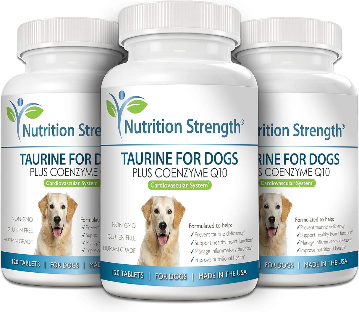 Vitaminas para perros soporte natural para una función