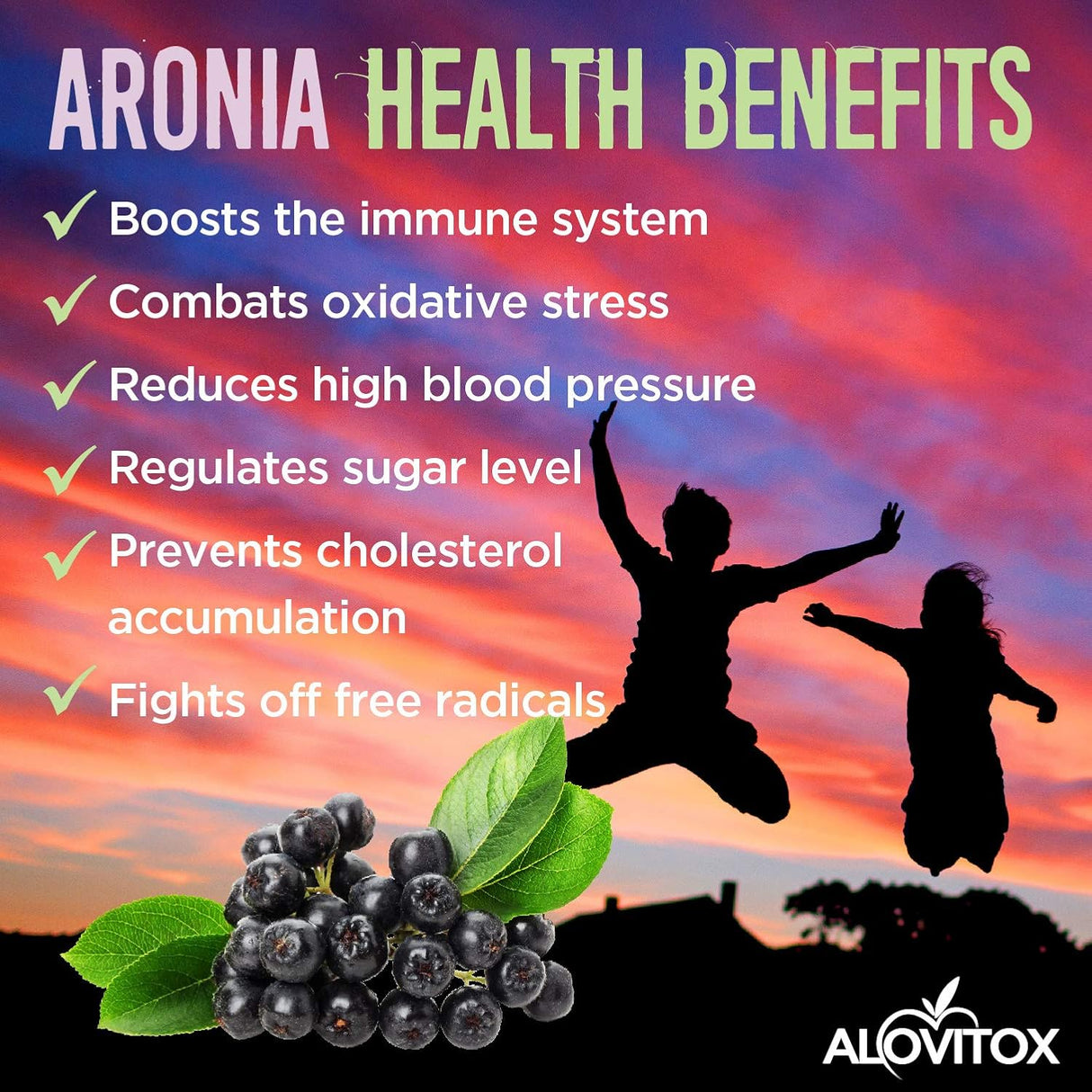 Suplemento  Aronia Berry Powder Jugo denso antioxidante