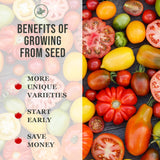 Mezcla de Semillas de Remolacha - Sow Right Seeds - No GMO