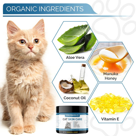 Tratamiento de puntos calientes para dermatitis de gatos