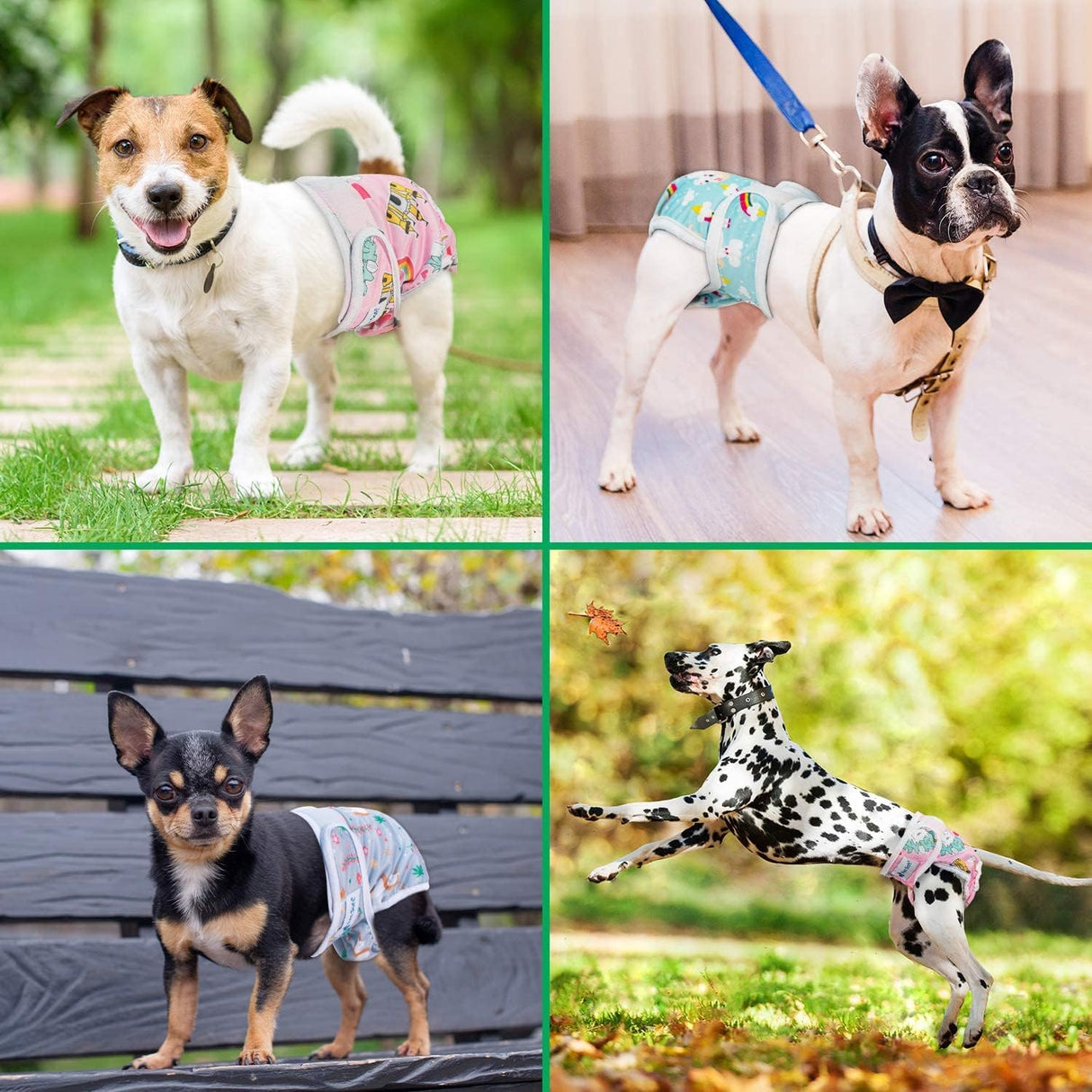 Pet Soft Pañales lavables para hembra (animales, S)