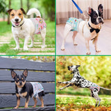 Pet Soft Pañales lavables para hembra (animales, S)