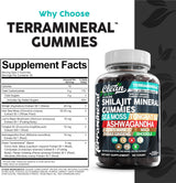 Gomitas de Shilajit con Musgo de Irlanda Clean Nutra (1)