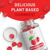 Suplementos Alimenticios Extracto de Cereza Alternativa