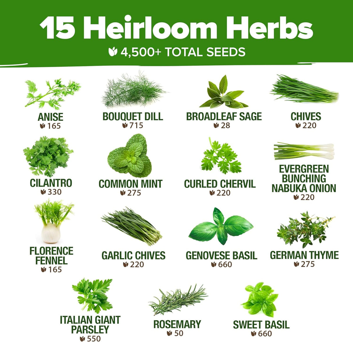 Semillas de Hierbas Culinarias HOME GROWN - No GMO, 15 Variedades
