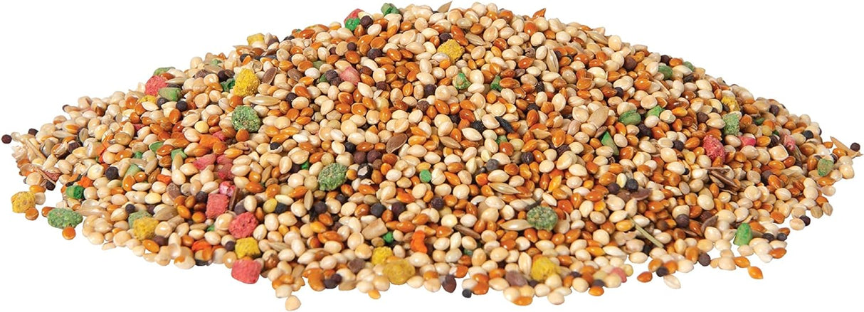Colección de semillas de pájaro mezclas diarias y nutrición