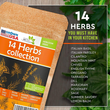 Paquete de Semillas de Hierbas Culinarias - Heirloom y No GMO