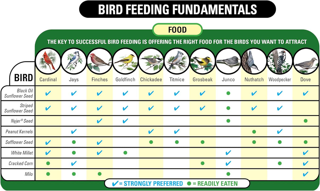 Mezcla variada de comida para pájaros salvajes 6 libras