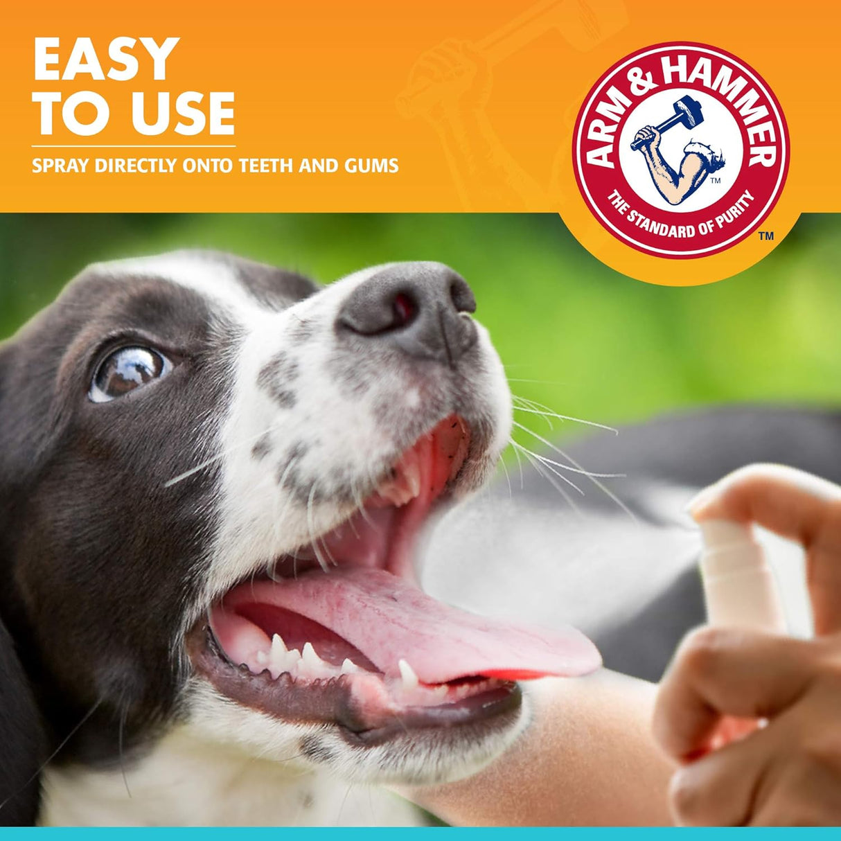 Spray dental de aliento fresco para perros