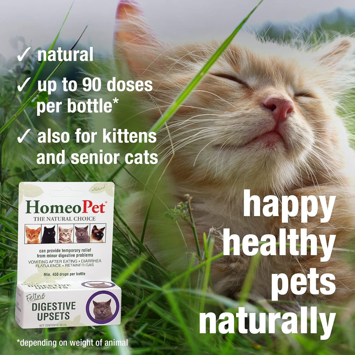Trastornos digestivos felinos, digestivo natural para gatos