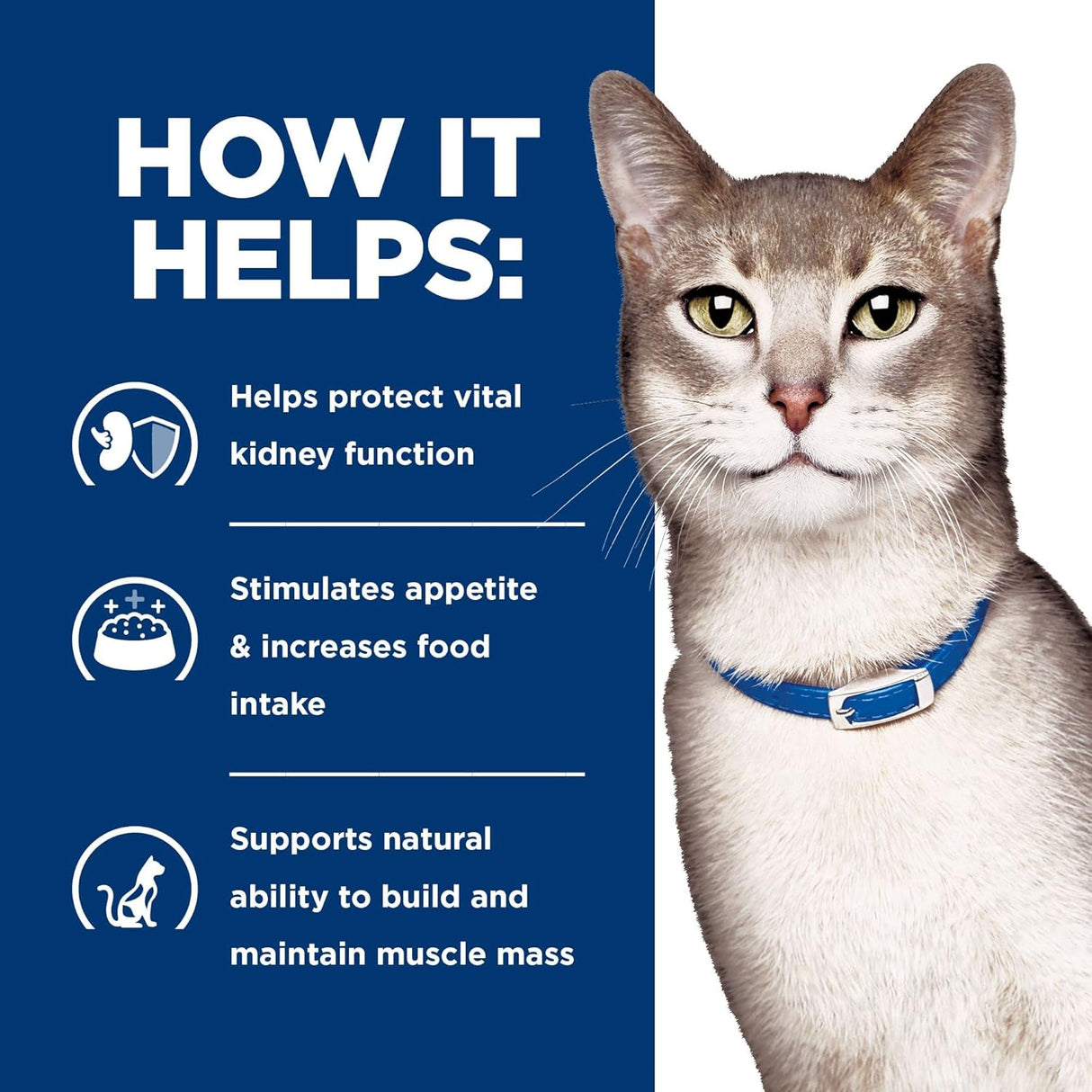 Alimento de gatos seca, latas de 5.5 onzas, paquete de 24