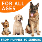 Vitaminas Aceite de pescado para perros Alivio de la piel