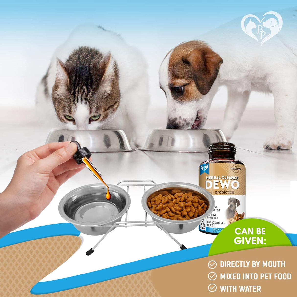 Suplementos natural para gatos con probióticos
