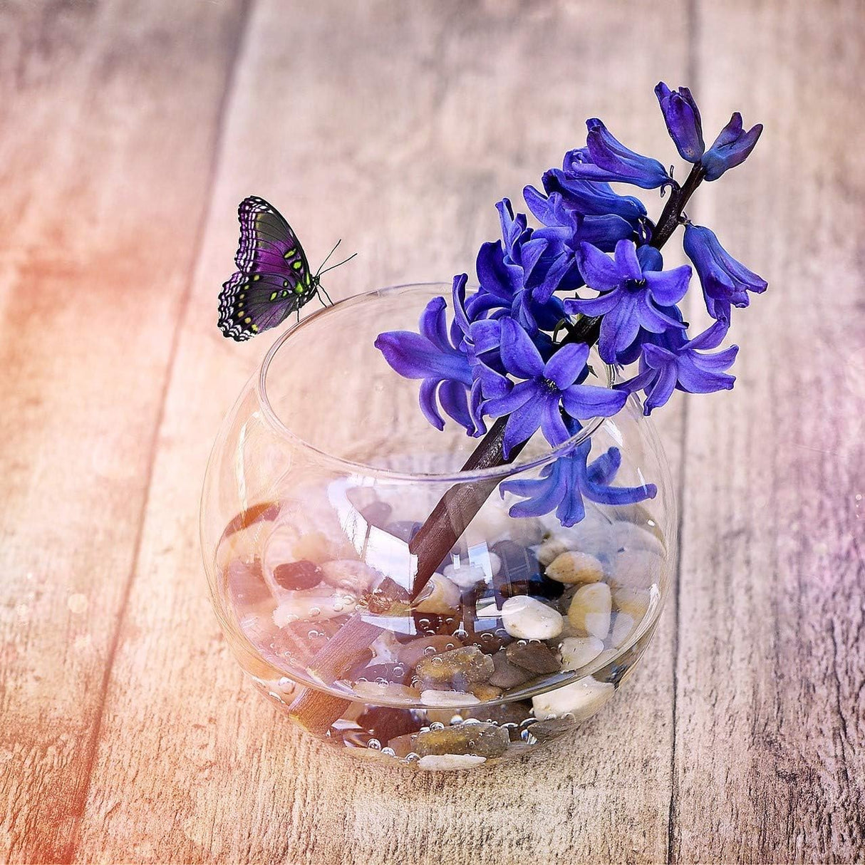 WGV - Jarrón de vidrio, diámetro de 8 pulgadas, altura 6.5 pulgadas, ancho abierto de 3.75 pulgadas, múltiples opciones de tamaño), maceta de burbujas transparentes para decoración del hogar, eventos