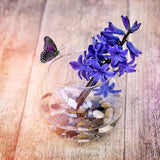 WGV - Jarrón de vidrio, diámetro de 8 pulgadas, altura 6.5 pulgadas, ancho abierto de 3.75 pulgadas, múltiples opciones de tamaño), maceta de burbujas transparentes para decoración del hogar, eventos