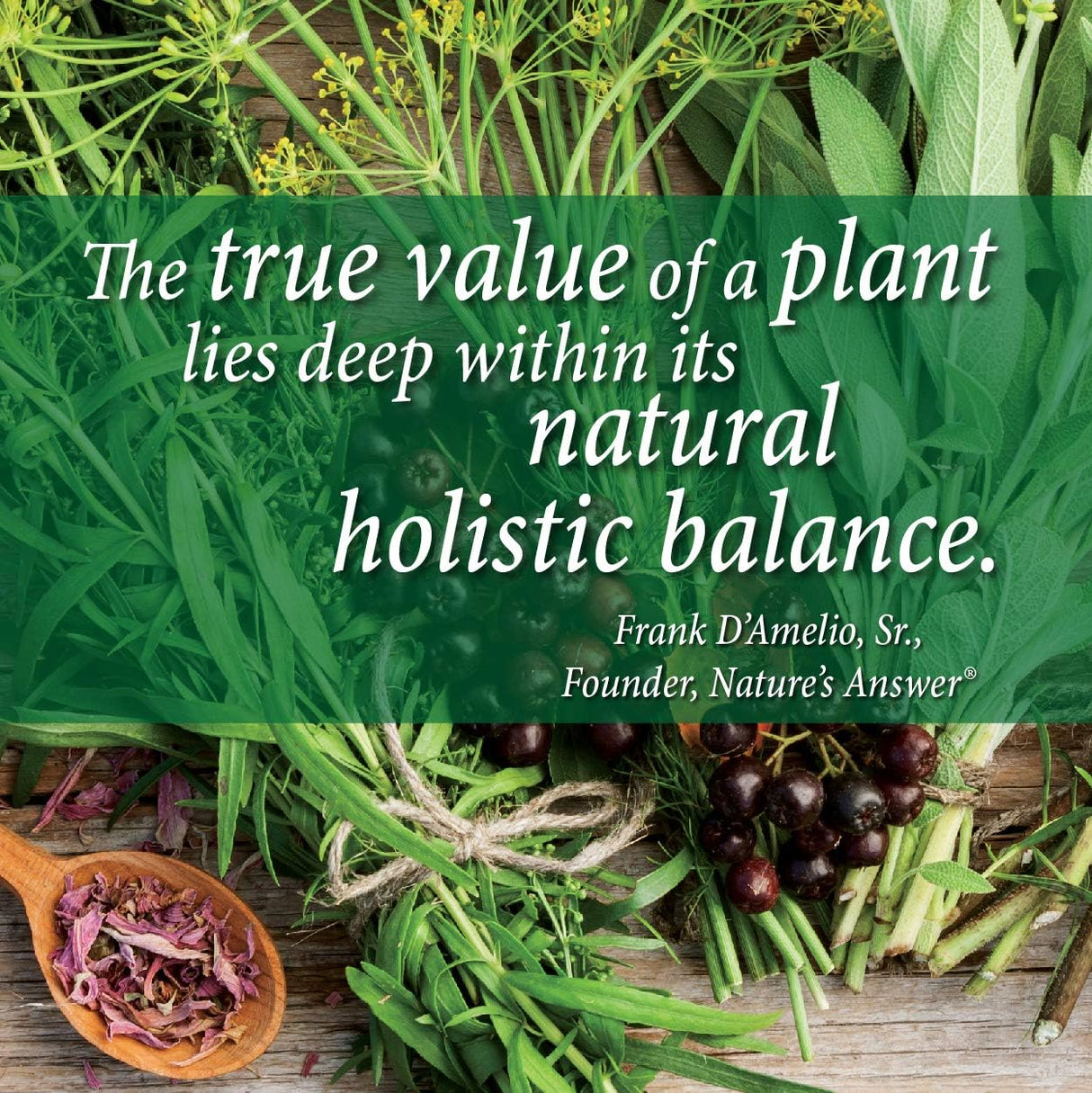 Natures Answer Vitamina líquida B-12  niveles de energía