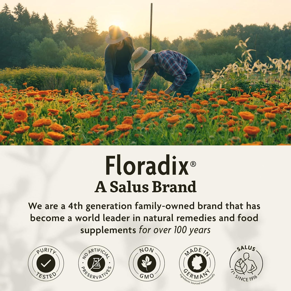 Floradix Iron Sport Líquido Mineral y Vitaminas - Energía y Nutrición 8.5 oz
