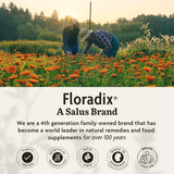 Floradix Iron Sport Líquido Mineral y Vitaminas - Energía y Nutrición 8.5 oz