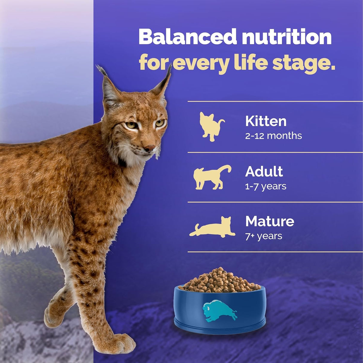 Blue Buffalo Alimento para gatos maduros, receta de pollo natural Wilderness Natural, alimento seco para gatos mayores, bolsa de 5 libras