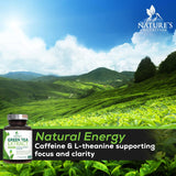 Suplemento Extracto de té verde 98% EGCG estandarizado 240u