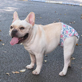 CuteBone Pañales para perras, sin agujero en la cola, lavables WWD02S