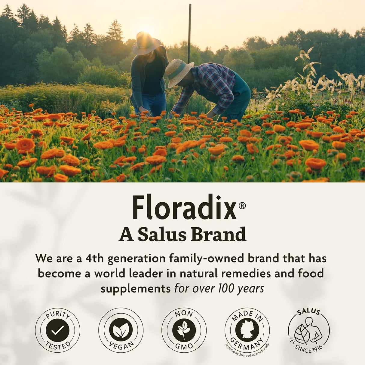 Floradix Tabletas de Hierro con Ácido Fólico y Vitamina C - 120u