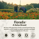 Floradix Tabletas de Hierro con Ácido Fólico y Vitamina C - 120u