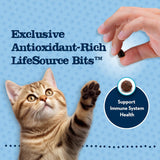 Blue Buffalo Baby Blue Healthy Growth Formula Natural Kitten Alimento seco para gatos, pollo y arroz integral, 2 libras