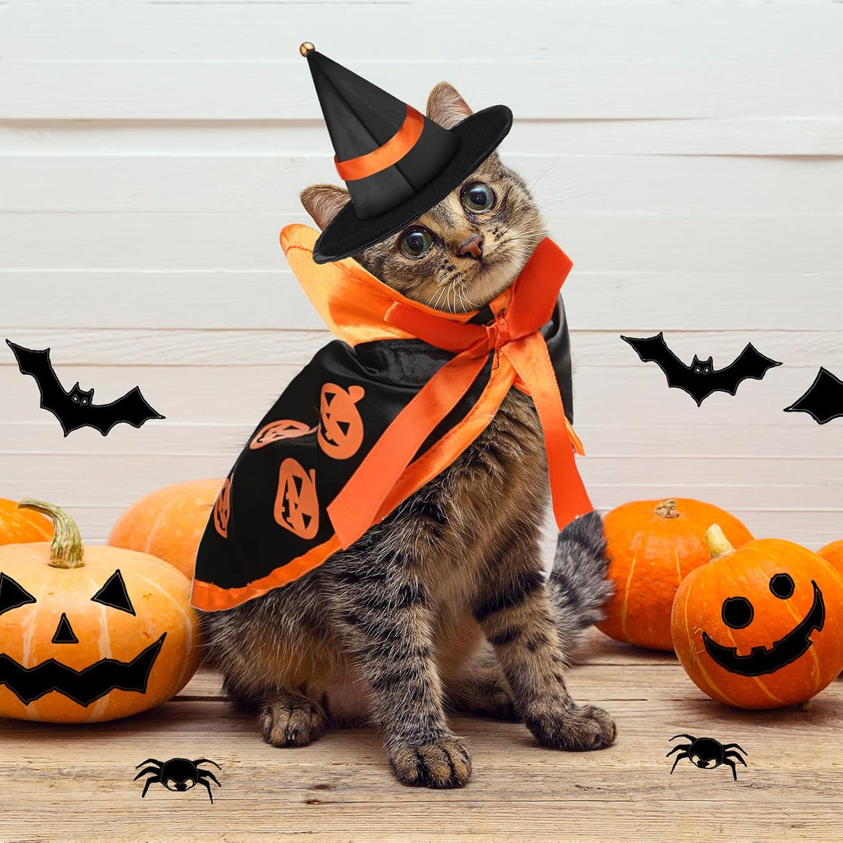 Disfraces 5 piezas de disfraz de Halloween talla única