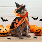 Disfraces 5 piezas de disfraz de Halloween talla única