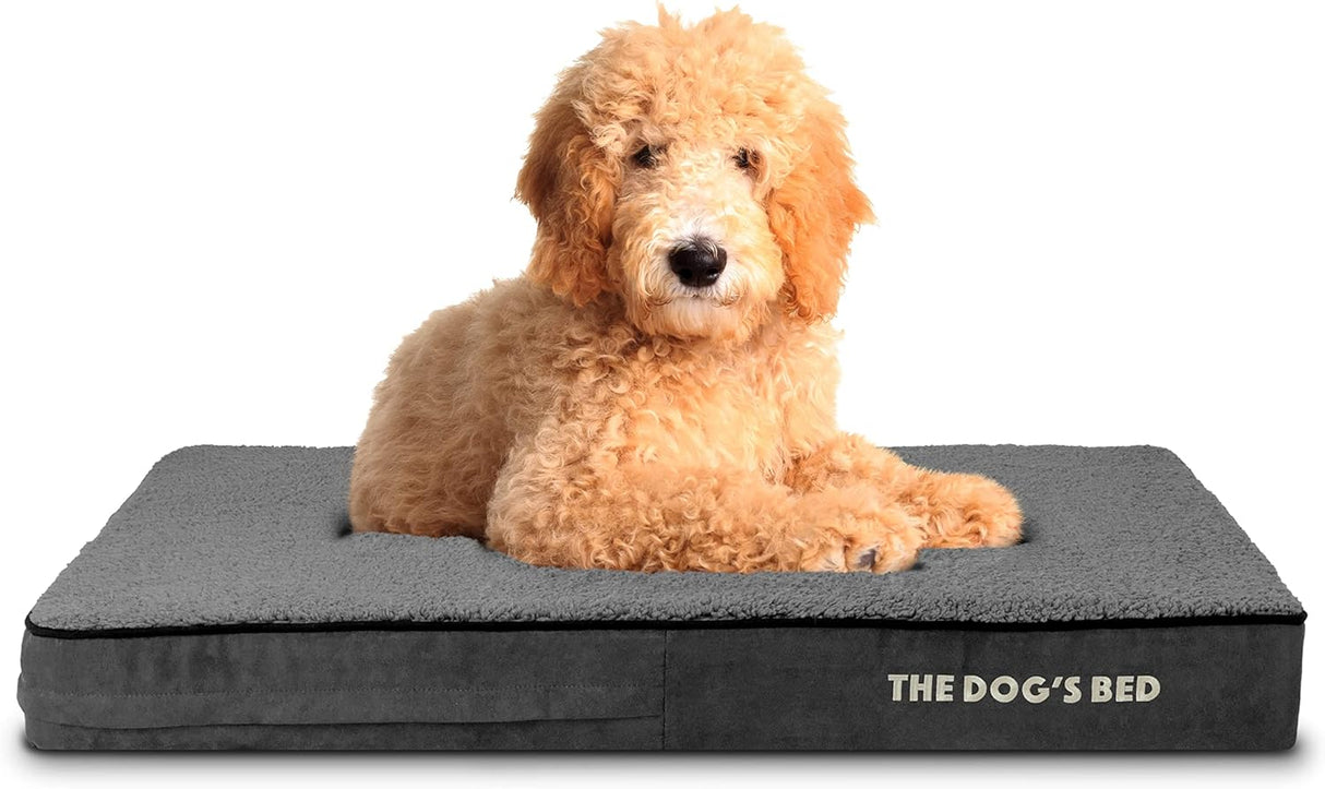 Cama Ortópetica para Perros, Dog’s Bed, Alivio del Dolor, 40x25x4