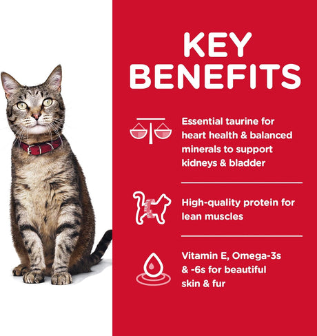 Alimento seco para gatos adultos, para un cuidado óptimo