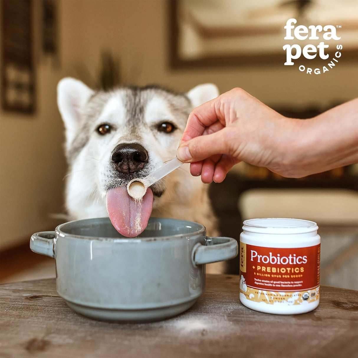Vitaminas Probióticos para perros y gatos