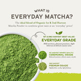 Eveyrday Matcha Verde Orgánico 12oz Sencha Antioxidante