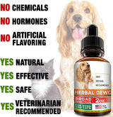 Vitaminas gatos y perros parásitos homeopáticos y toxinas