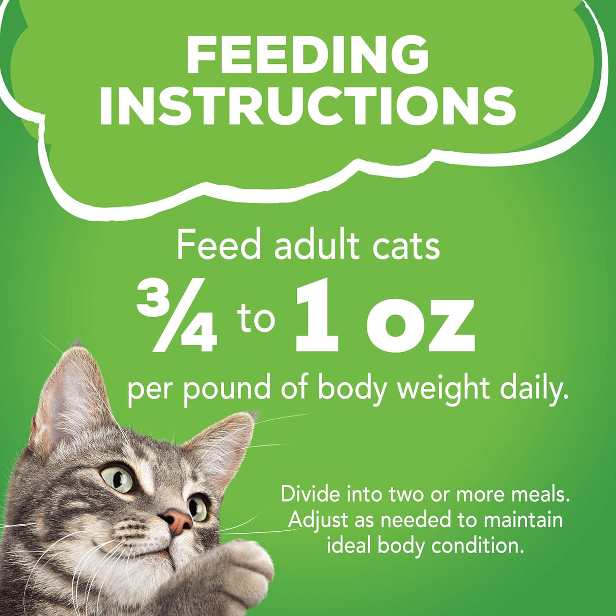 Alimento para gatos húmedos variedad Tamaño: 2 Packs of 12