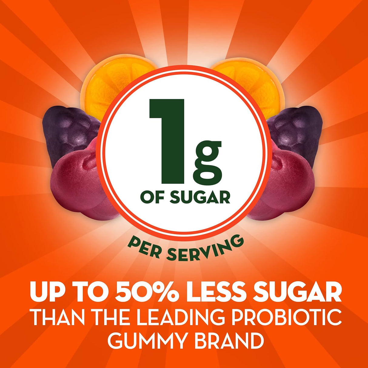Suplementos Alimenticios Prebióticos