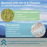 Complejo Adaptógeno Igennus: Ashwagandha, L-Teanina, Magnesio