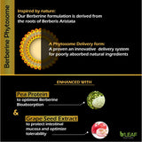 Suplementos Alimenticios de hierbas naturales