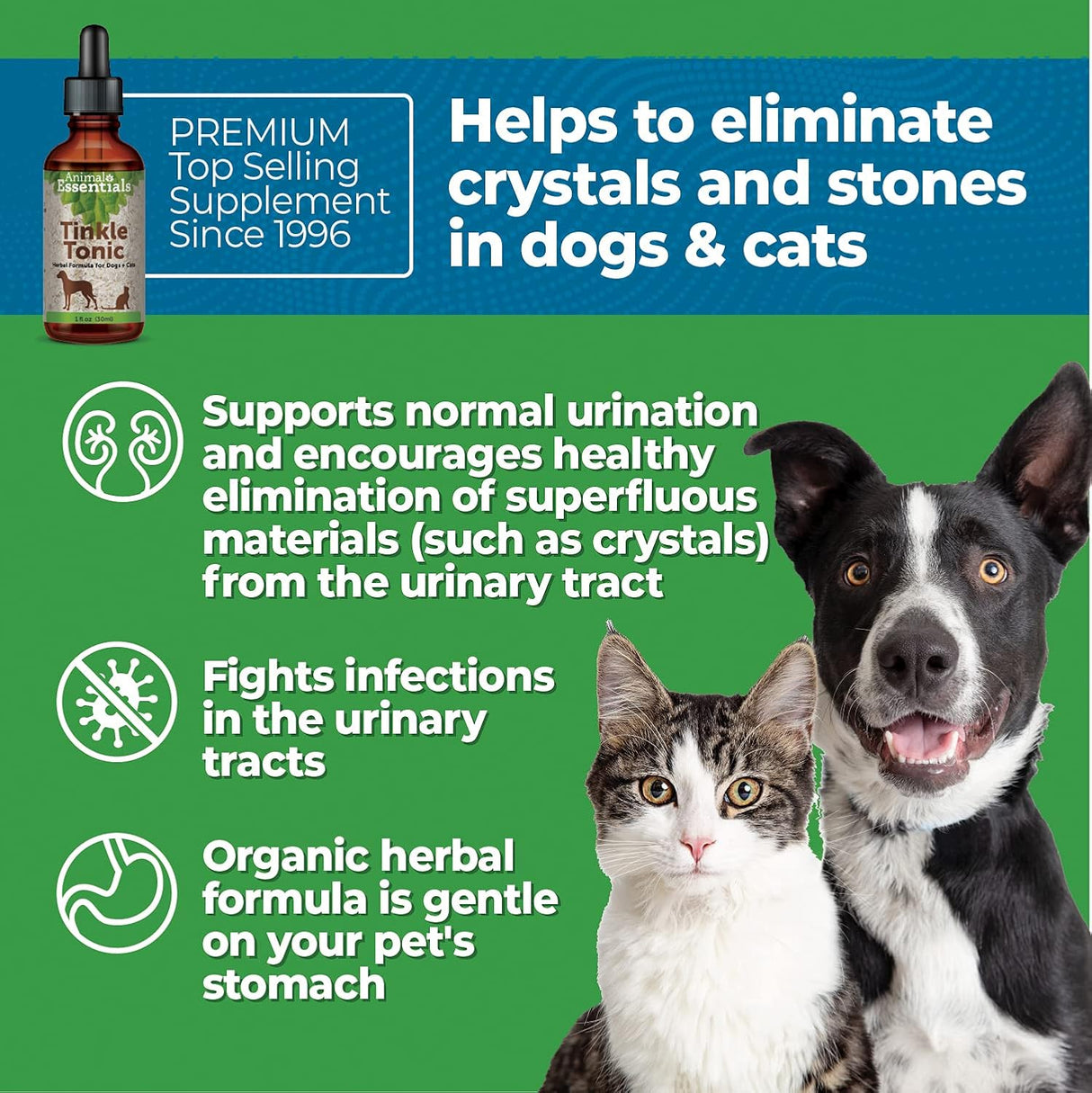 Vitaminas herbal para el tracto urinario saludable en perros