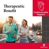 Suplementos Alimenticios Ajo Astra  Soporte cardiovascular