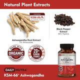 Suplementos Alimenticios Ashwagandha Extracto de raíz 600 mg
