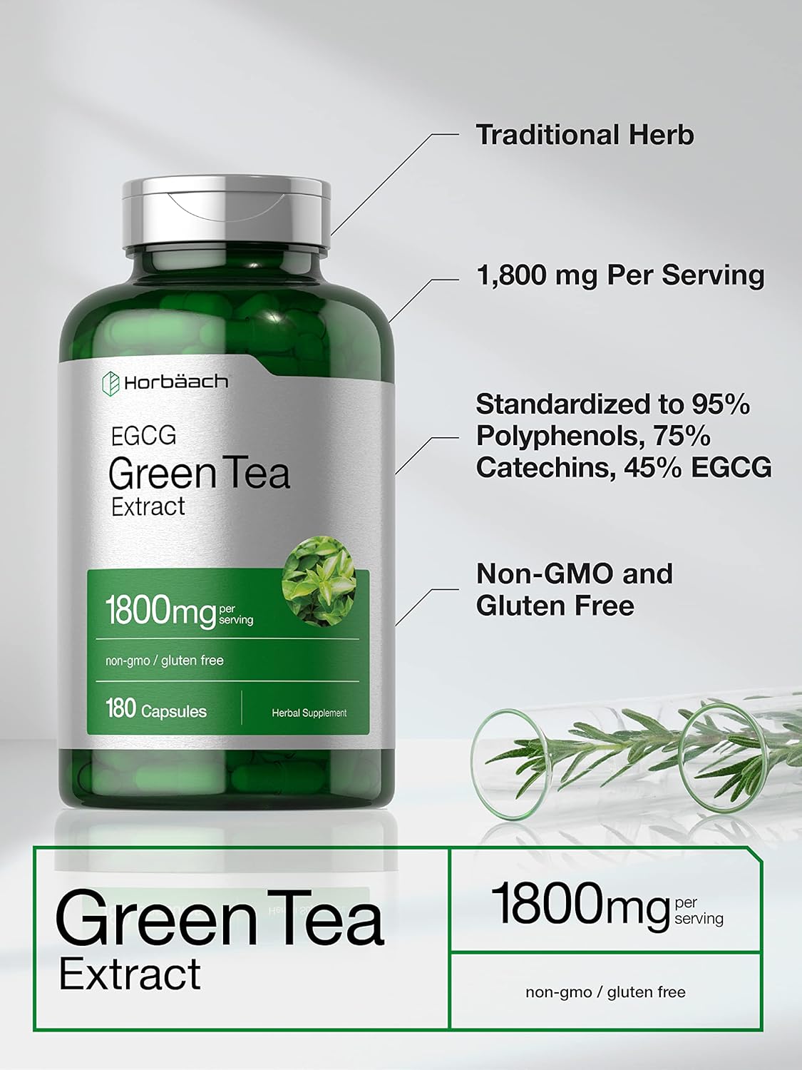 Suplemento Pastillas de extracto de té verde 180 cápsulas