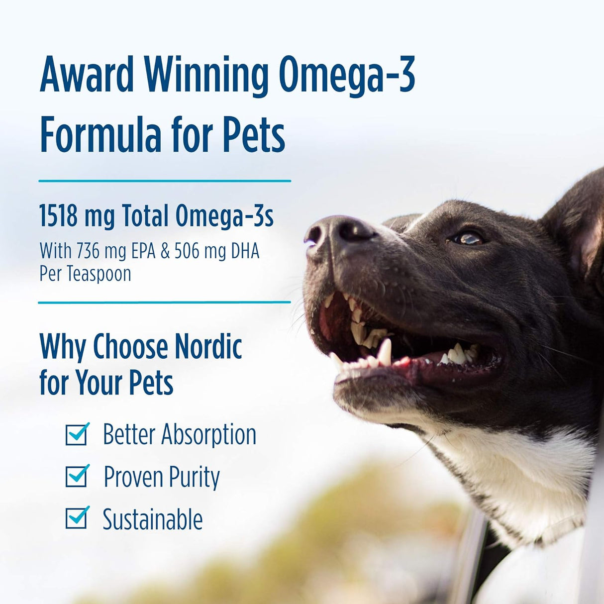 Vitaminas aceite de pescado para perros la salud del corazón