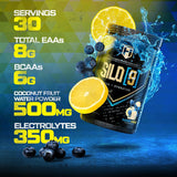 HOSSTILE Silo EAA+BCAA Polvo, soporte hidratación, 30 porciones